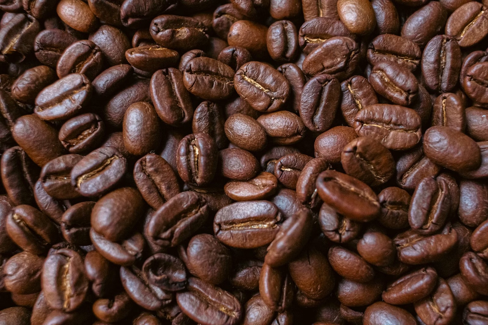 Close-up of freshly roasted coffee beans